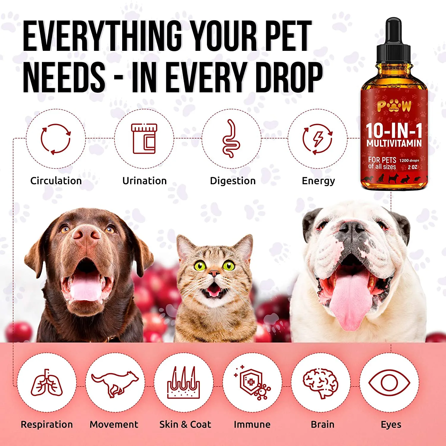 10 In 1 Cat & Dog Multivitamin - Hip & Joint Vitamins For Dogs   Vitamins C, D, B1-12 - Cranberry Supplement For Dogs & Cat Vitamins - Bladder, Kidney, Skin, Joint Support - Glucosamine Dog Supplement