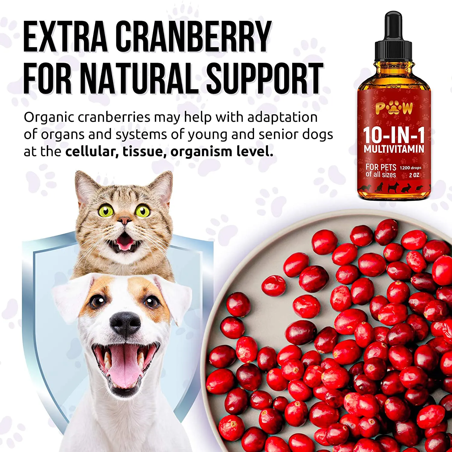 10 In 1 Cat & Dog Multivitamin - Hip & Joint Vitamins For Dogs   Vitamins C, D, B1-12 - Cranberry Supplement For Dogs & Cat Vitamins - Bladder, Kidney, Skin, Joint Support - Glucosamine Dog Supplement