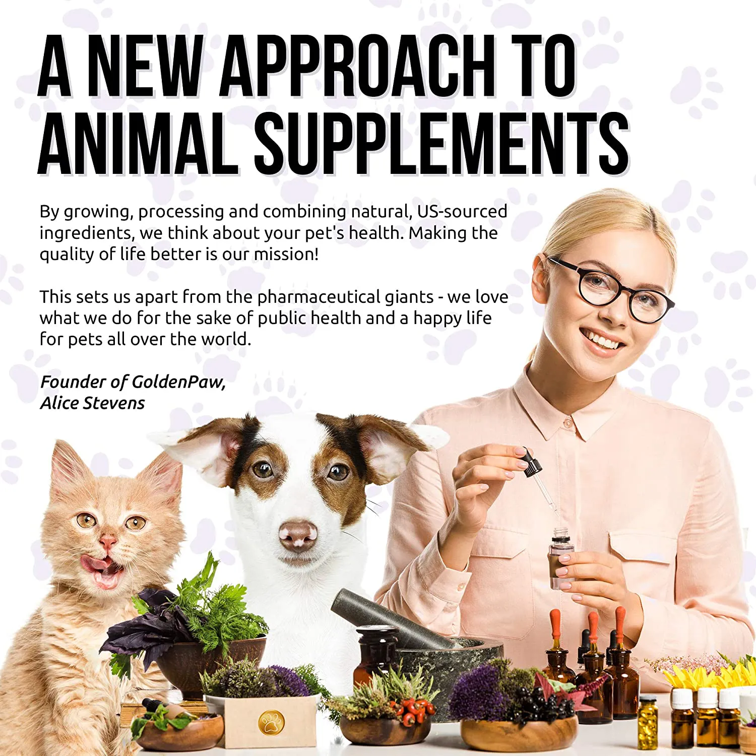 10 In 1 Cat & Dog Multivitamin - Hip & Joint Vitamins For Dogs   Vitamins C, D, B1-12 - Cranberry Supplement For Dogs & Cat Vitamins - Bladder, Kidney, Skin, Joint Support - Glucosamine Dog Supplement
