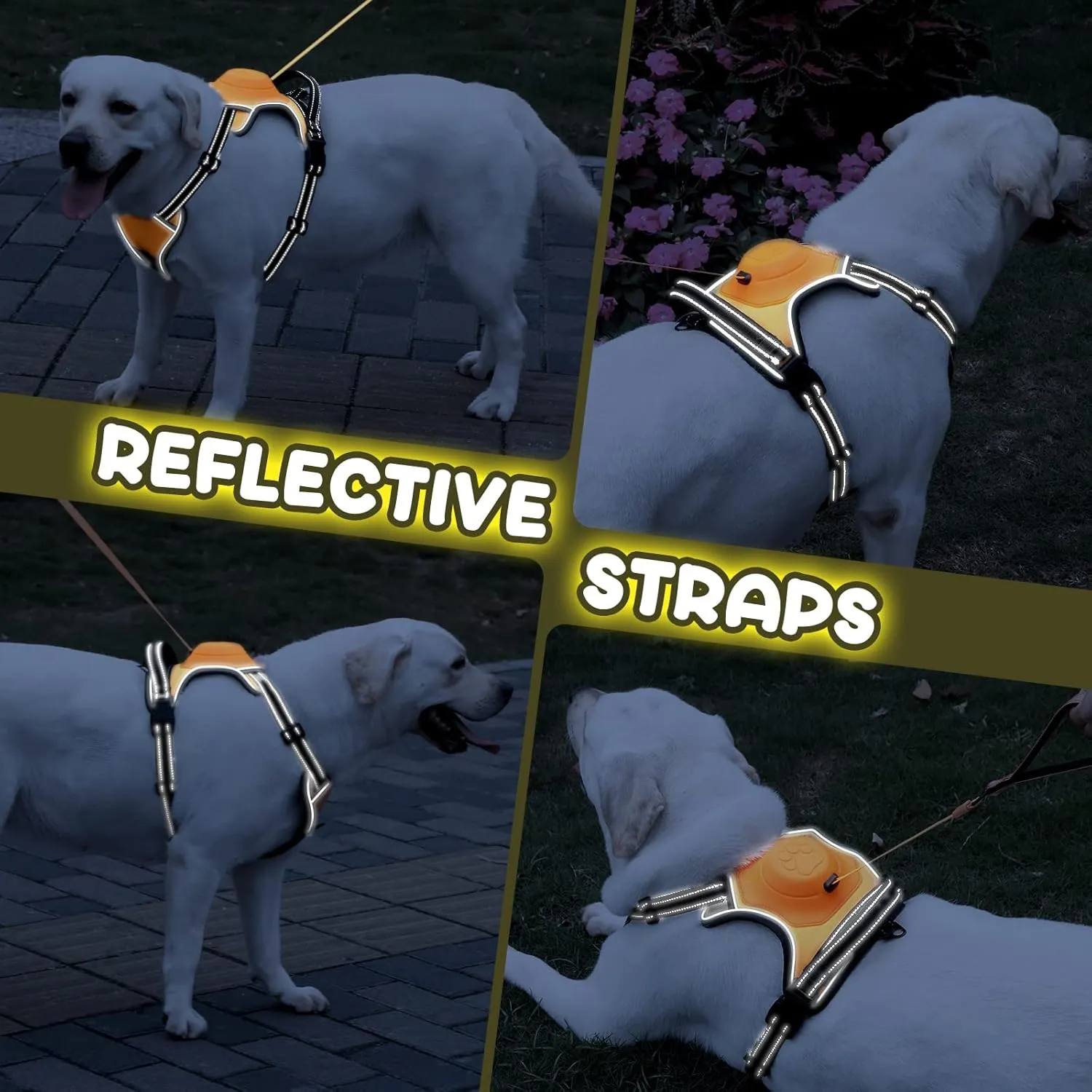 2-in-1 No Pull Dog Harness & Retractable Leash - Large Dog Harness with Auto-Lock, Reflective & Adjustable