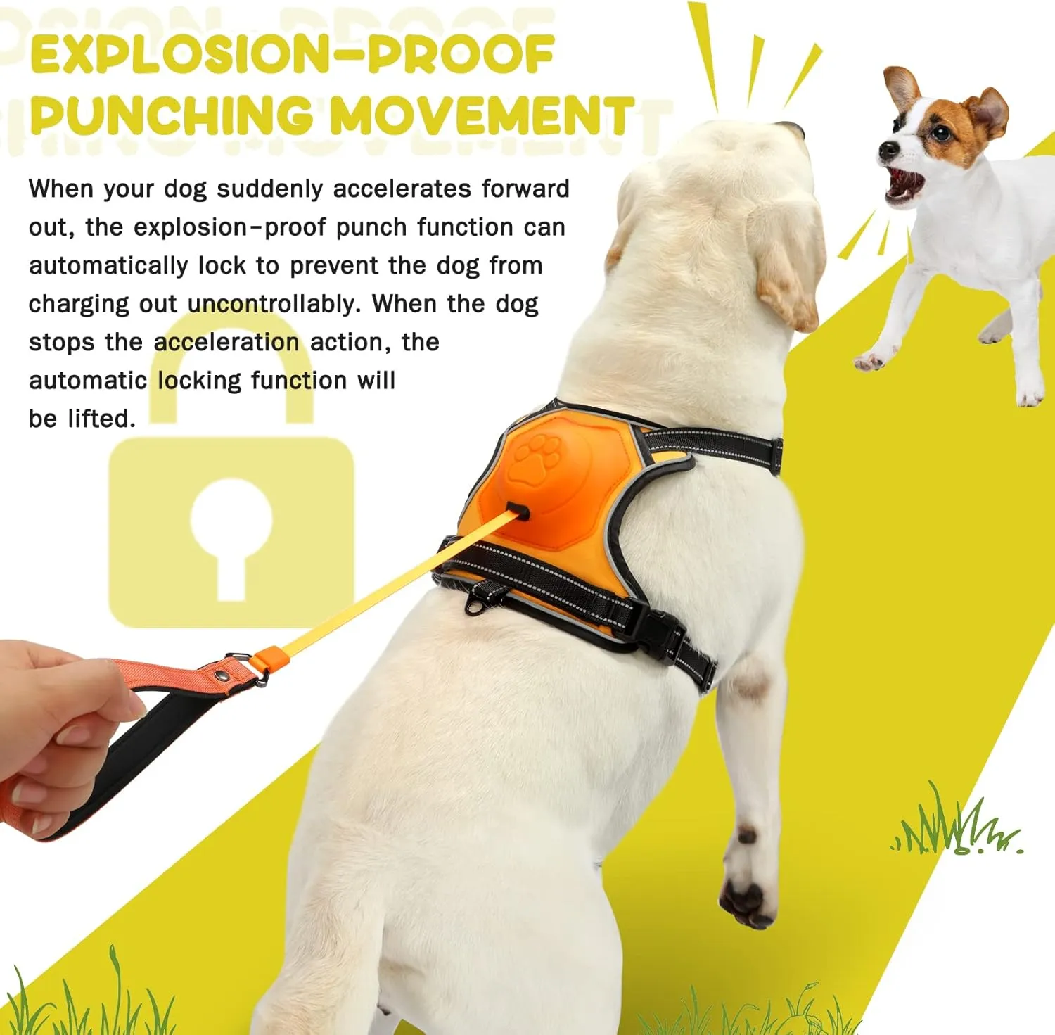 2-in-1 No Pull Dog Harness & Retractable Leash - Large Dog Harness with Auto-Lock, Reflective & Adjustable