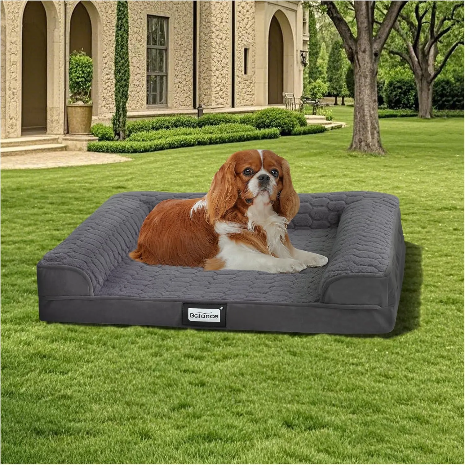 BALANCE Orthopedic Dog Bed, Egg Crate Foam Dog Couch for Pet Sleeping, Pet Sofa with Removable Washable Cover & Waterproof Lining, Comfy Dogs Bed for Small Dogs, Grey