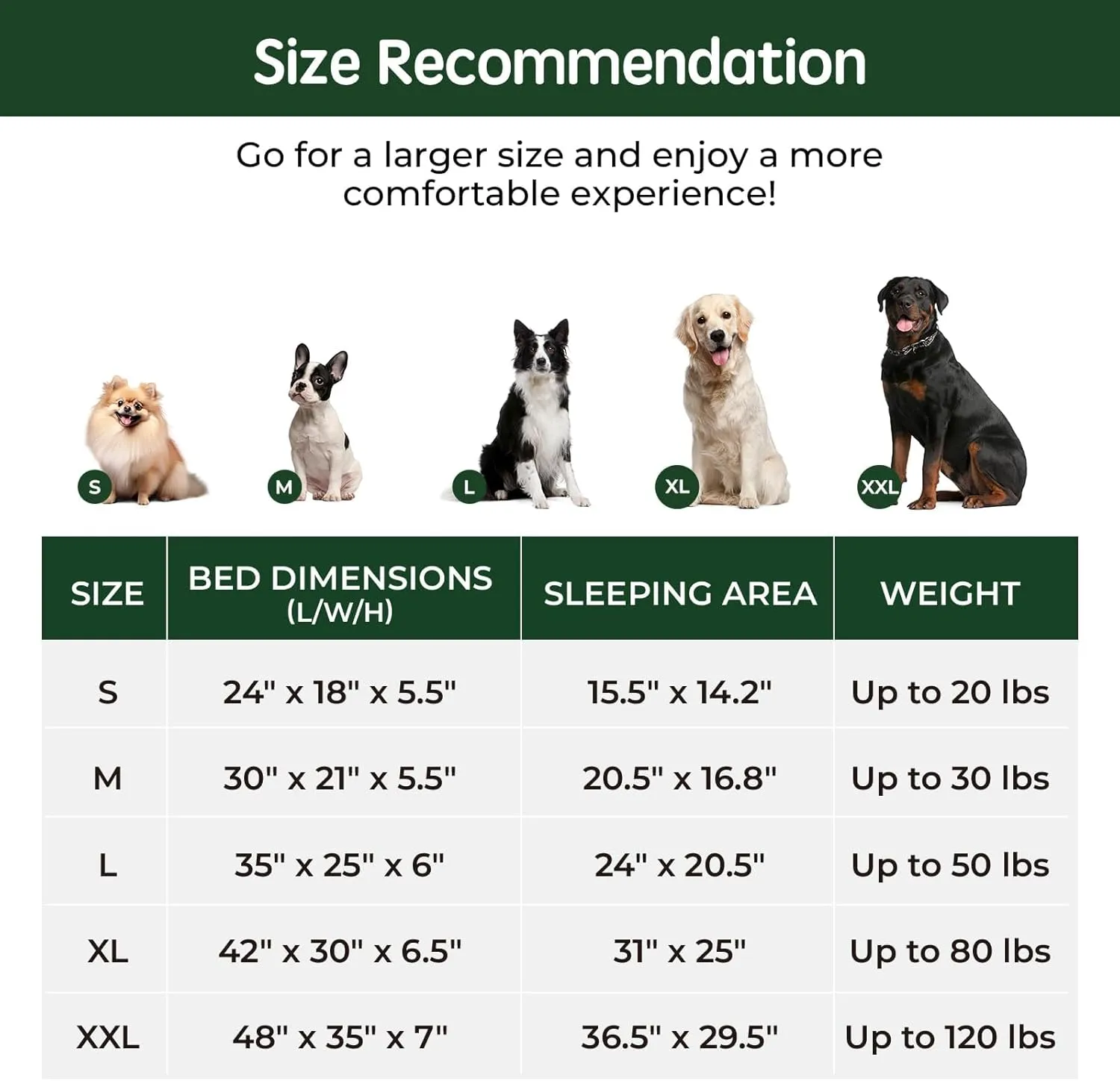 BALANCE Orthopedic Dog Bed, Egg Crate Foam Dog Couch for Pet Sleeping, Pet Sofa with Removable Washable Cover & Waterproof Lining, Comfy Dogs Bed for Small Dogs, Grey