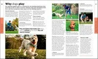 Beginner's Dog Training Guide