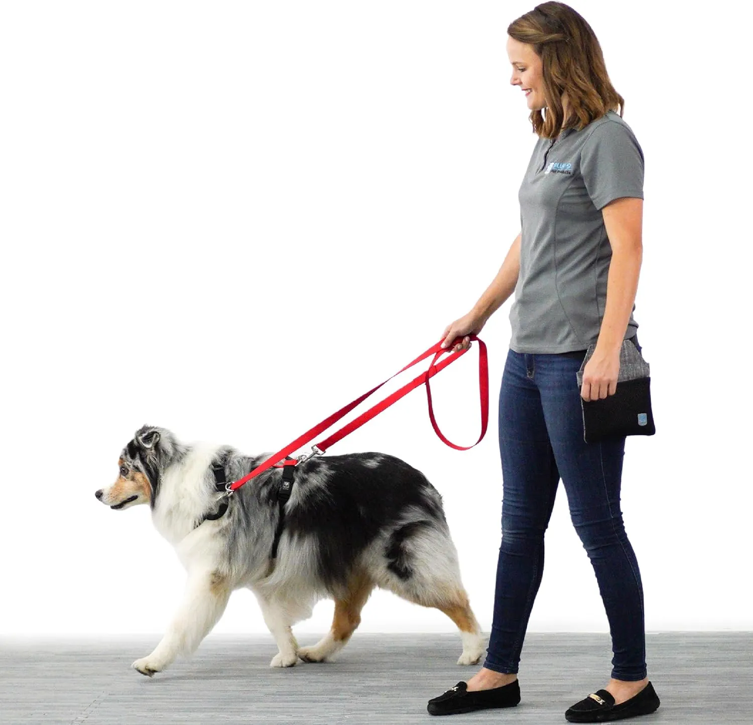 Blue-9 Multi-Function Hands Free Dog Leash, Double Attachment 6 Foot Adjustable Lead for Obedience, Running, and Agility Training, Made in The USA, Hot Pink, Small/Medium