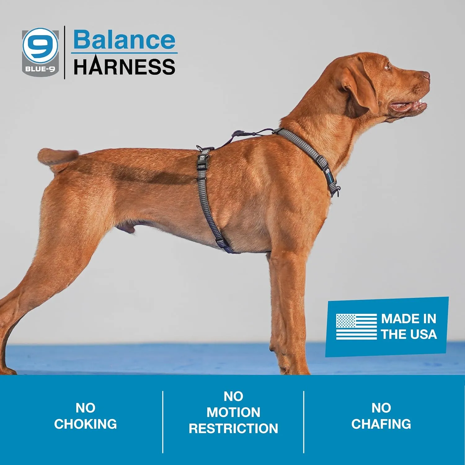 Blue-9 Reflective Buckle-Neck Balance Harness, Fully Customizable Fit No-Pull Harness with 3M Reflective Stitching, Ideal for Dog Training and Obedience, Made in The USA, Grey, Large