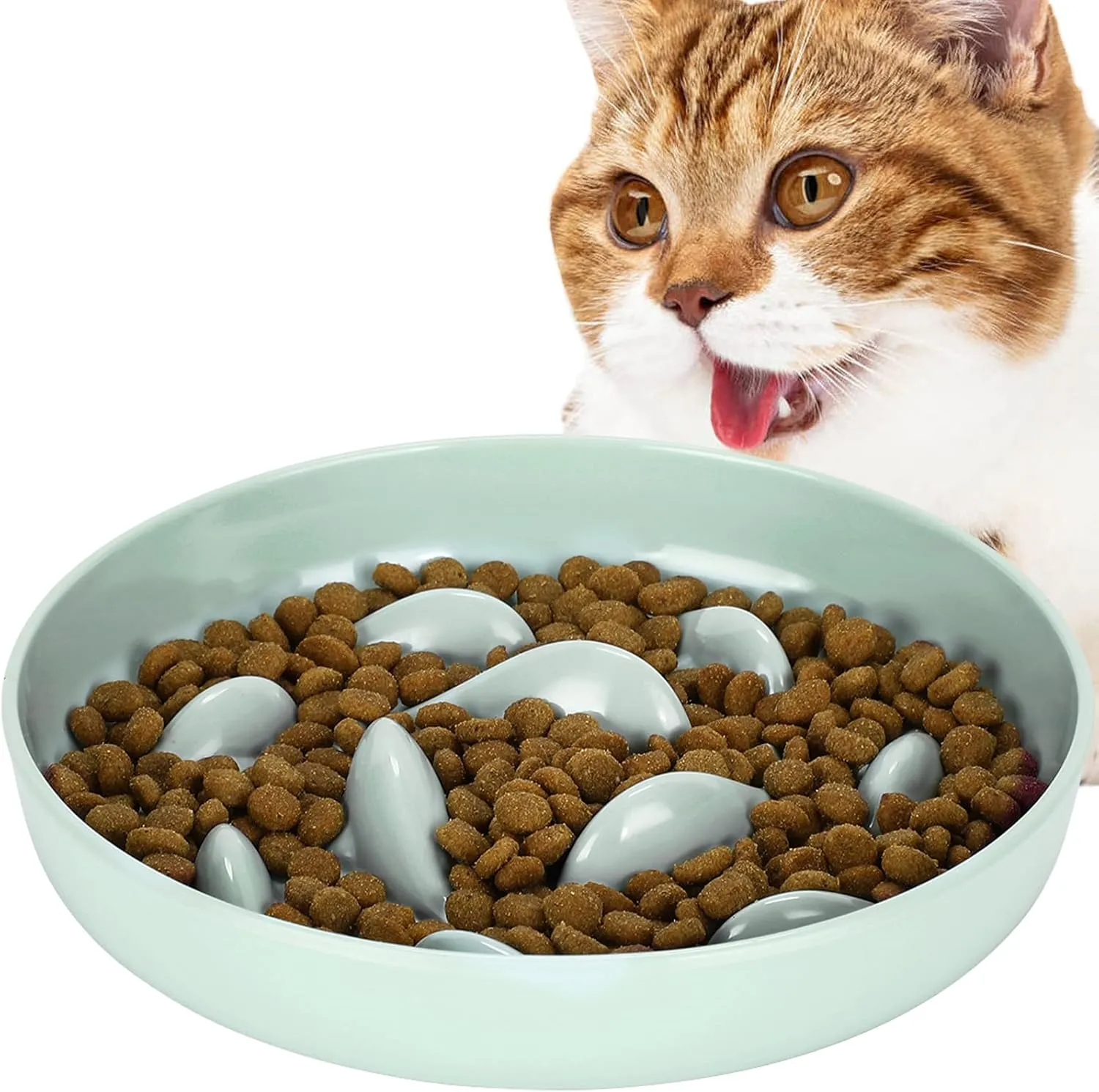 Cat Slow Feeder Bowl, Anti Gulping Healthy Eating Diet Pet Food Bowl, Non-Slip Whale Shape Design and Raised Rim Spill Proof Slow Bowl for Kitten (Green)