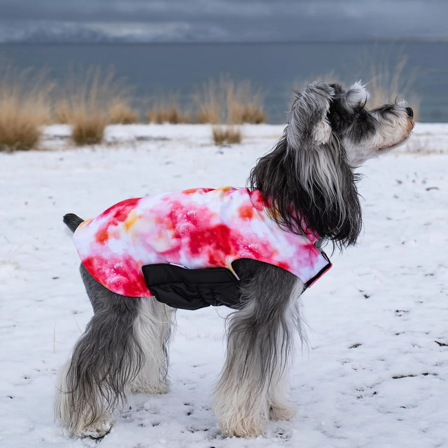 CuteBone Winter Dog Coat - Waterproof Windproof Reversible Vest, Thick Adjustable Cold Weather Jacket for Small Medium Large Dogs, Soft With Leash Hole GMF29L