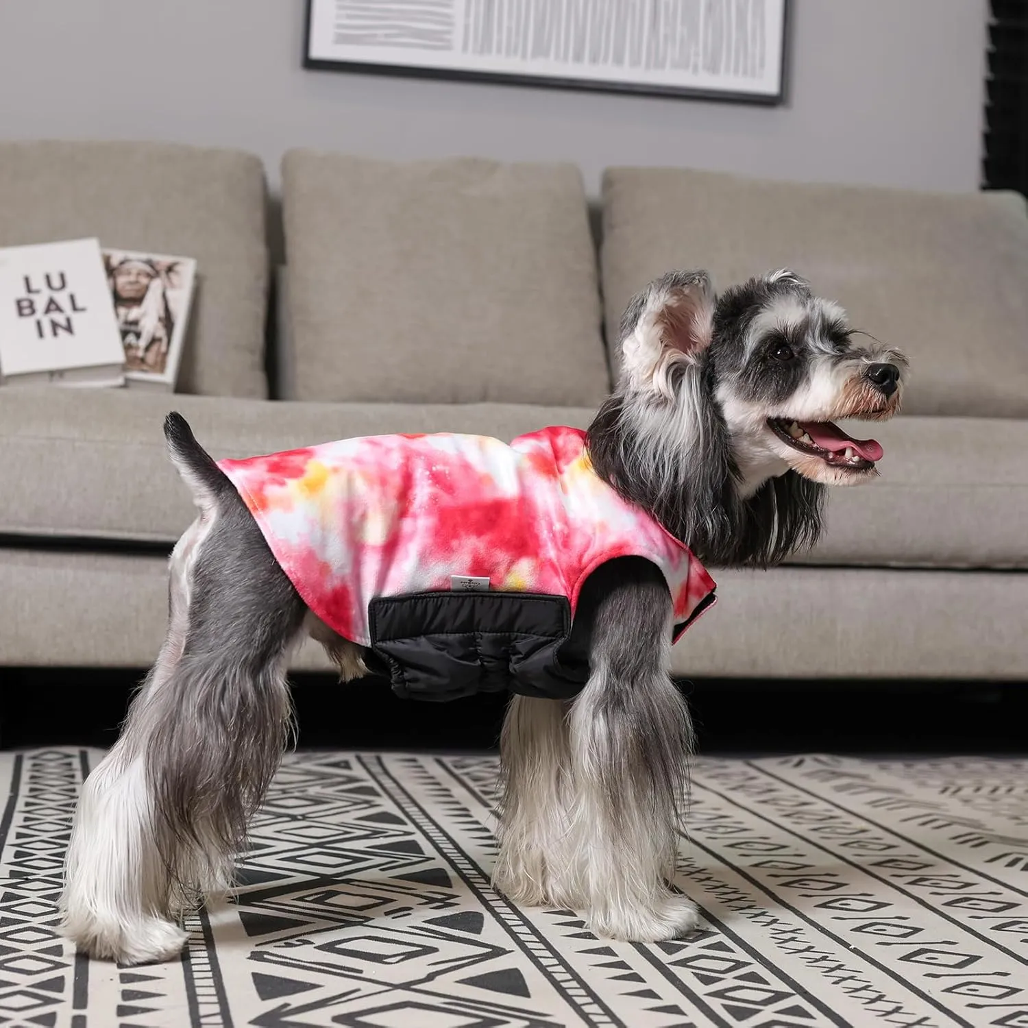 CuteBone Winter Dog Coat - Waterproof Windproof Reversible Vest, Thick Adjustable Cold Weather Jacket for Small Medium Large Dogs, Soft With Leash Hole GMF29L