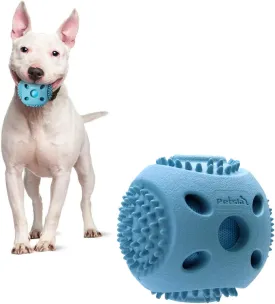 Durable Squeaky Dog Balls for Small Medium Dogs and Puppies - Rubber Balls for Moderate Chewers Play Fetch and Promotes Dental Health Blue