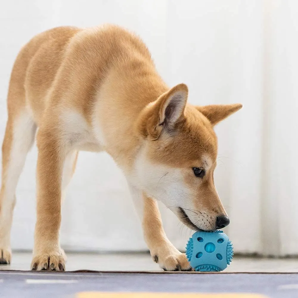 Durable Squeaky Dog Balls for Small Medium Dogs and Puppies - Rubber Balls for Moderate Chewers Play Fetch and Promotes Dental Health Blue