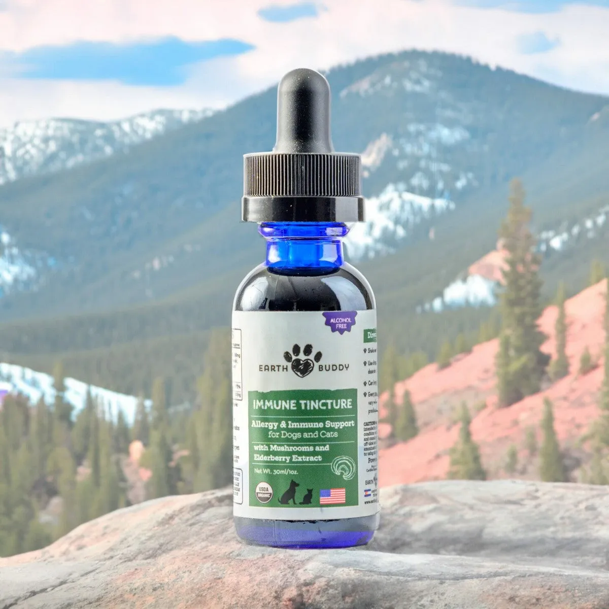 Earth Buddy Immune Tincture – Mushroom Elderberry Allergy & Immune Support 500mg
