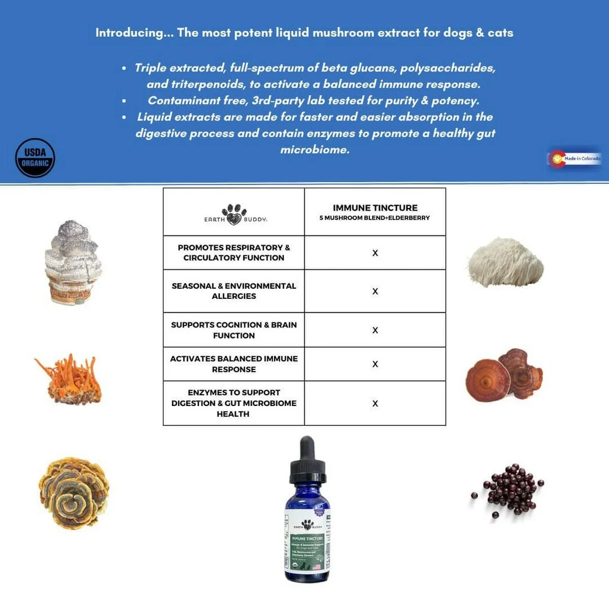 Earth Buddy Immune Tincture – Mushroom Elderberry Allergy & Immune Support 500mg