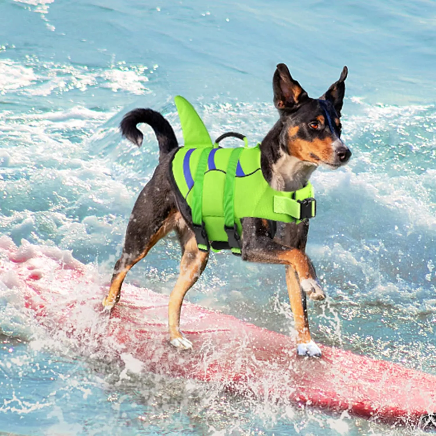 Fragralley Shark Fin Dog Life Jacket, High Buoyancy with Tear-Resistant Nylon of Dog Swim Vest, Pet Life Preserver for Small Medium Large Dogs, Puppy Float Vest for Swimming and Boating