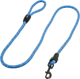 Franklin Sports Pet Supply Co. Nylon Dog Leash  Rope  Reflective  Dog Training  6 Foot  Dog Walking  Ultra Strong  Blue
