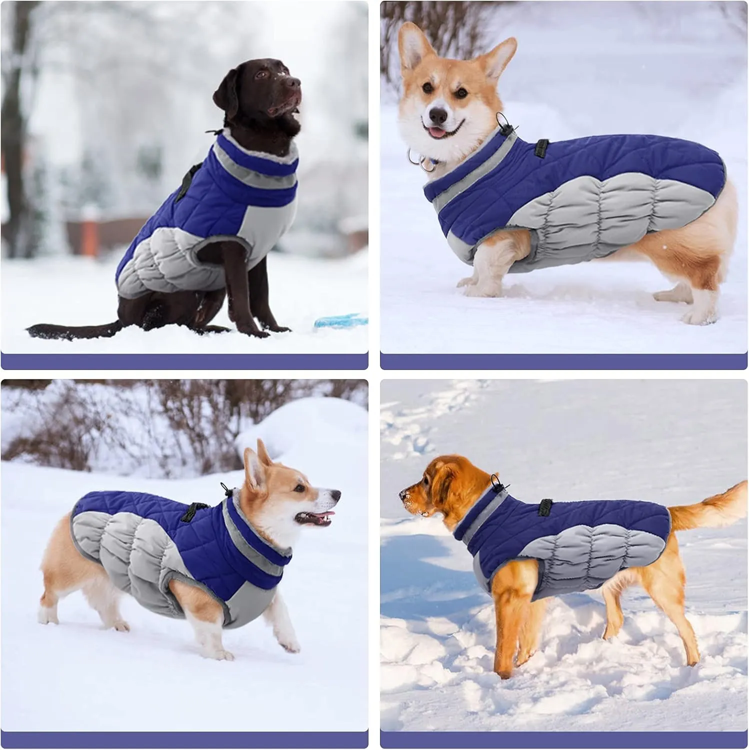 FUAMEY Dog Coat - Warm Winter Jacket with Padded Fleece, Reflective, Waterproof & Windproof, Built-in Harness, Blue, Large