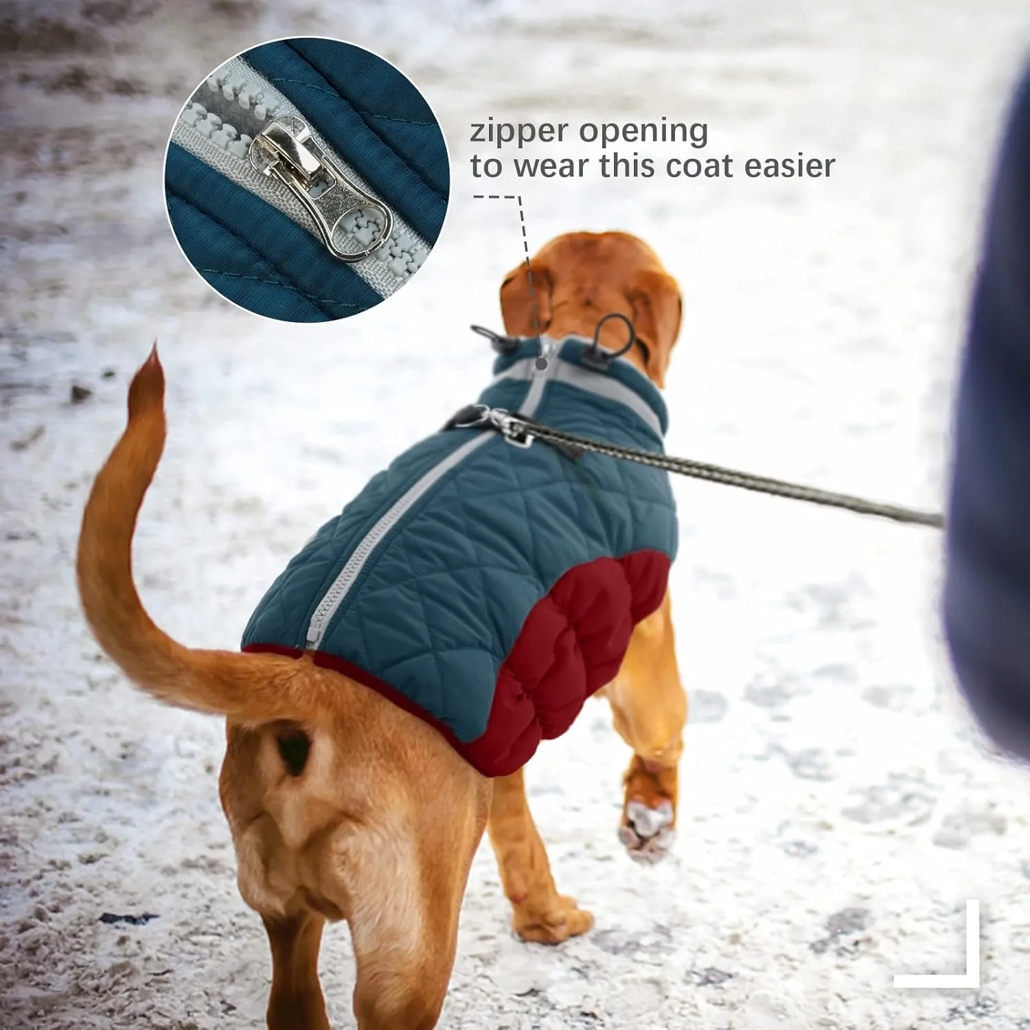 FUAMEY Dog Winter Jacket - Dog Cold Weather Coat Padding with Back Zipper, Harness in Built Pet Warm Clothes, Dark Blue, Water Resistant for Small, Medium & Large Dogs