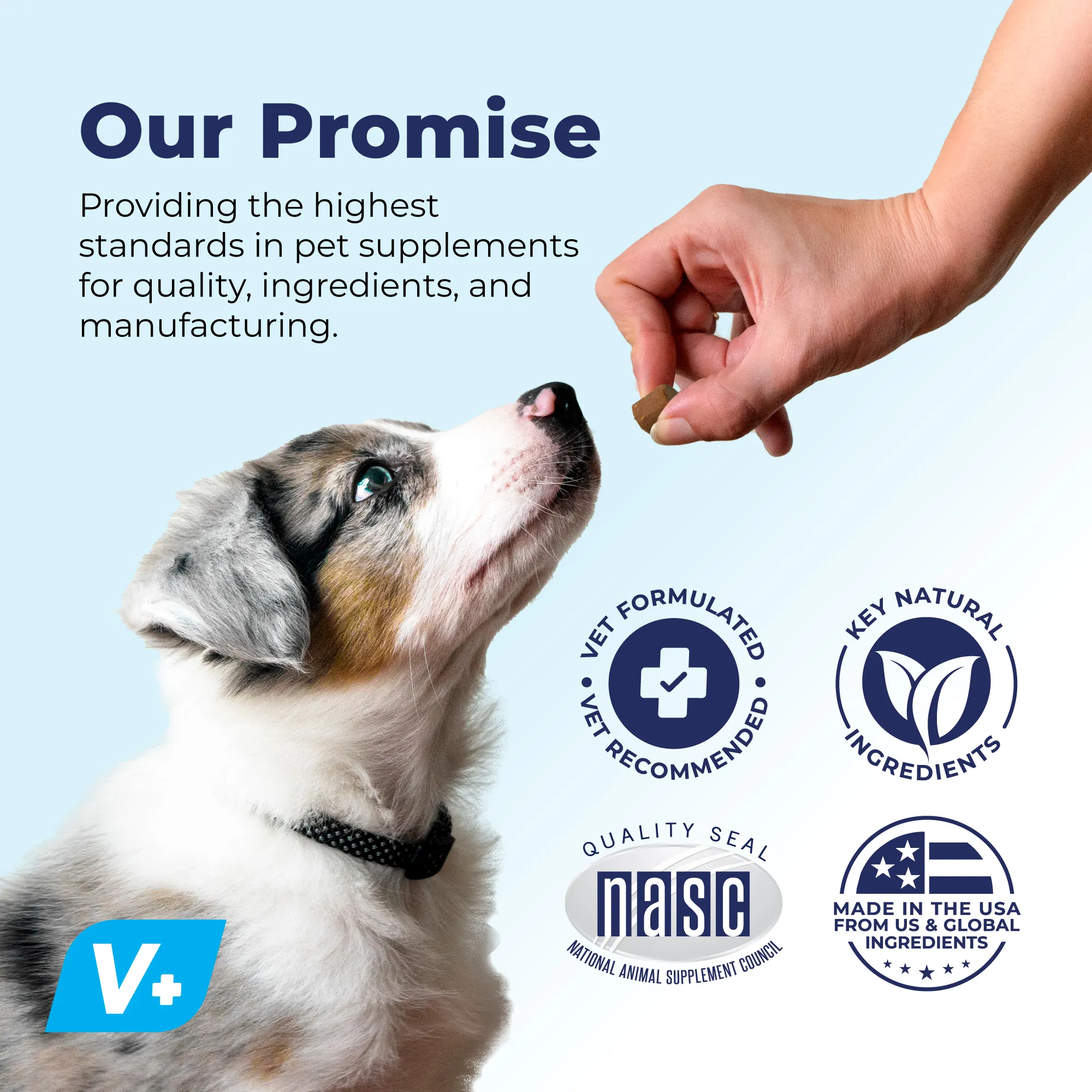 Glandex® Anal Gland Supplement Chews for Dogs - VetPass Free Sample