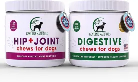 Glucosamine for Dogs and Probiotics for Dogs Soft Chews Bundle Hip and Joint Supplement and Digestive Chews for Dogs Increased Mobility Pain Relief and Digestive Health