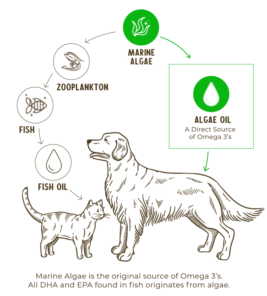 Grizzly Algal Plus Oil Supplement