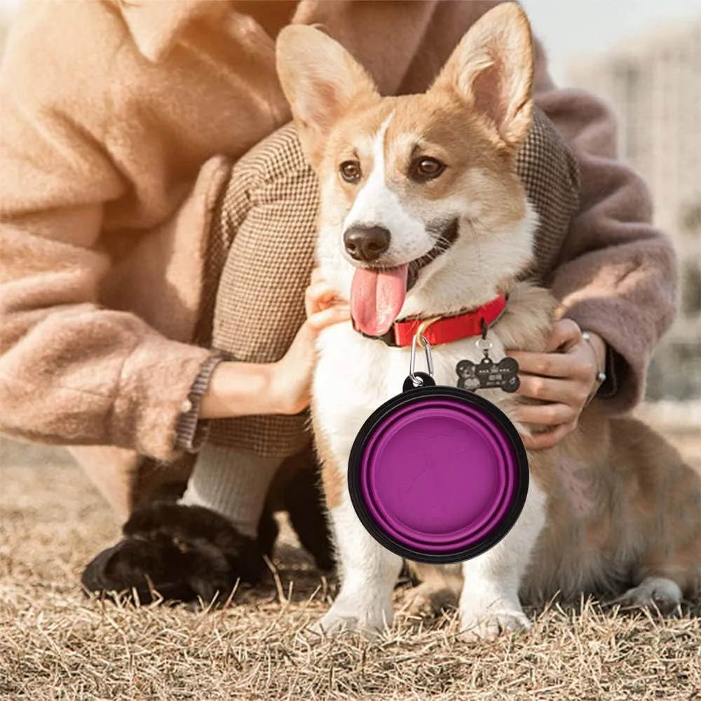 Guardians Large Collapsible Dog Bowls, 34oz Travel Water Food Bowls Portable Foldable Collapse Dishes with Carabiner Clip, 2 Pack (Blue   Purple)