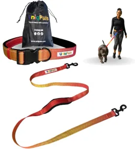 Hands-Free Leash for Small to Large Dogs 5ft - Heavy Duty Adjustable Waist Belt, Padded Handles, Reflective Stitching, Satin Carry Bag for Walking, Running, Hiking
