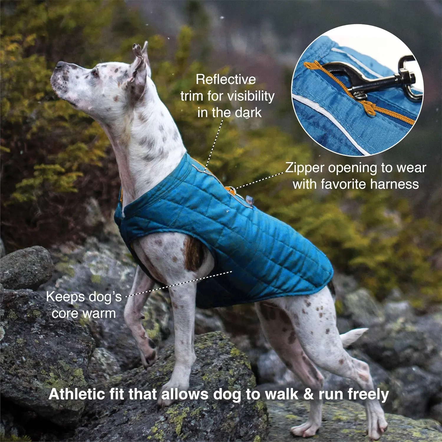 Kurgo Loft Dog Jacket, Reversible Dog Coat, Wear with Harness or Sweater, Water Resistant, Reflective, Winter Coat for Medium Dogs (Coastal Blue, M)
