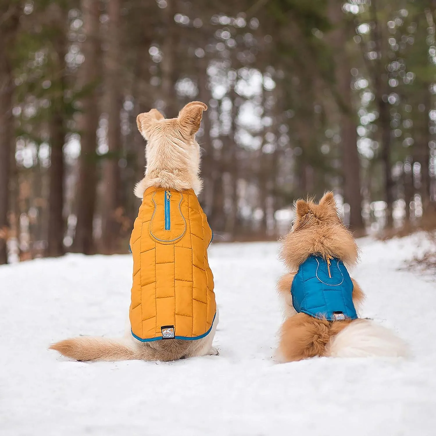 Kurgo Loft Dog Jacket, Reversible Dog Coat, Wear with Harness or Sweater, Water Resistant, Reflective, Winter Coat for Medium Dogs (Coastal Blue, M)