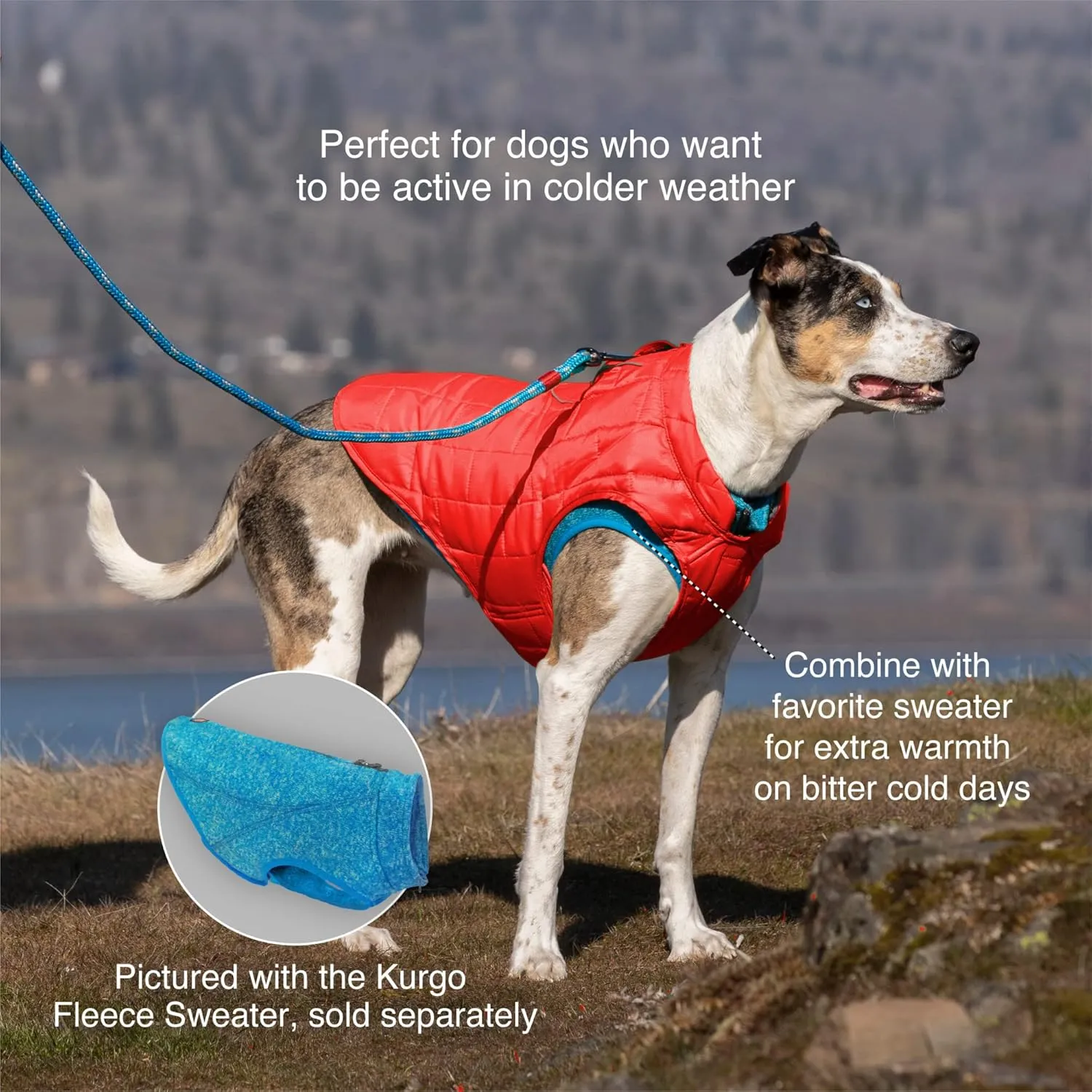 Kurgo Loft Dog Jacket, Reversible Dog Coat, Wear with Harness or Sweater, Water Resistant, Reflective, Winter Coat for Medium Dogs (Coastal Blue, M)