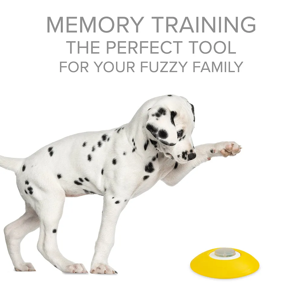Memory Training Puzzle Toy