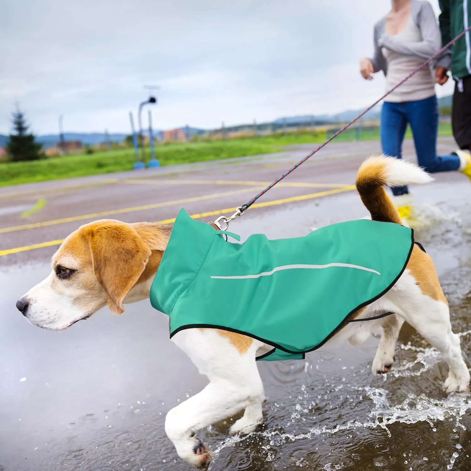 Mile High Life Dog Raincoat, Adjustable Waterproof Reflective Rain Jacket for Small Medium Large Dogs, Lightweight Breathable Pet Rain Coat with Leash Hole(Green,XS Chest 17-23")
