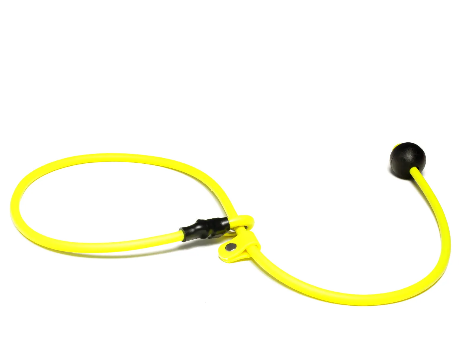 Mystique® Biothane Heeling Collar with Easy Grip Toggle