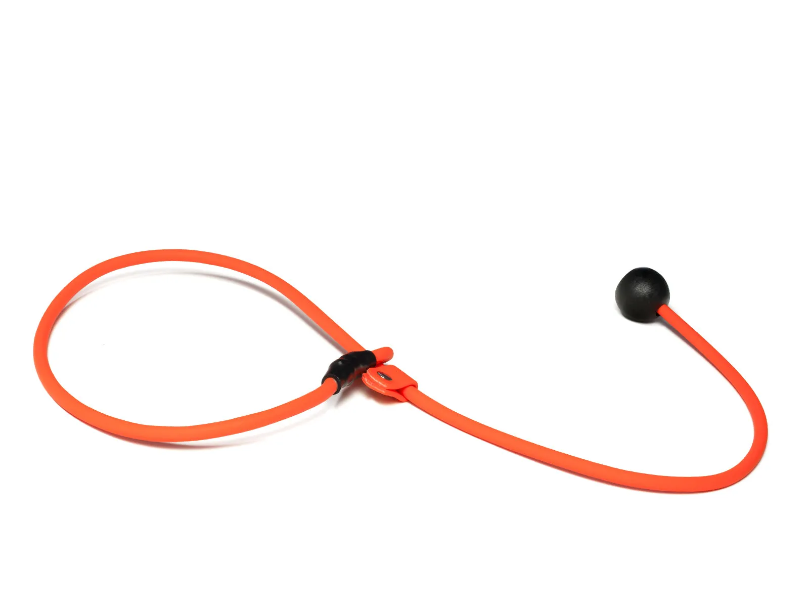 Mystique® Biothane Heeling Collar with Easy Grip Toggle