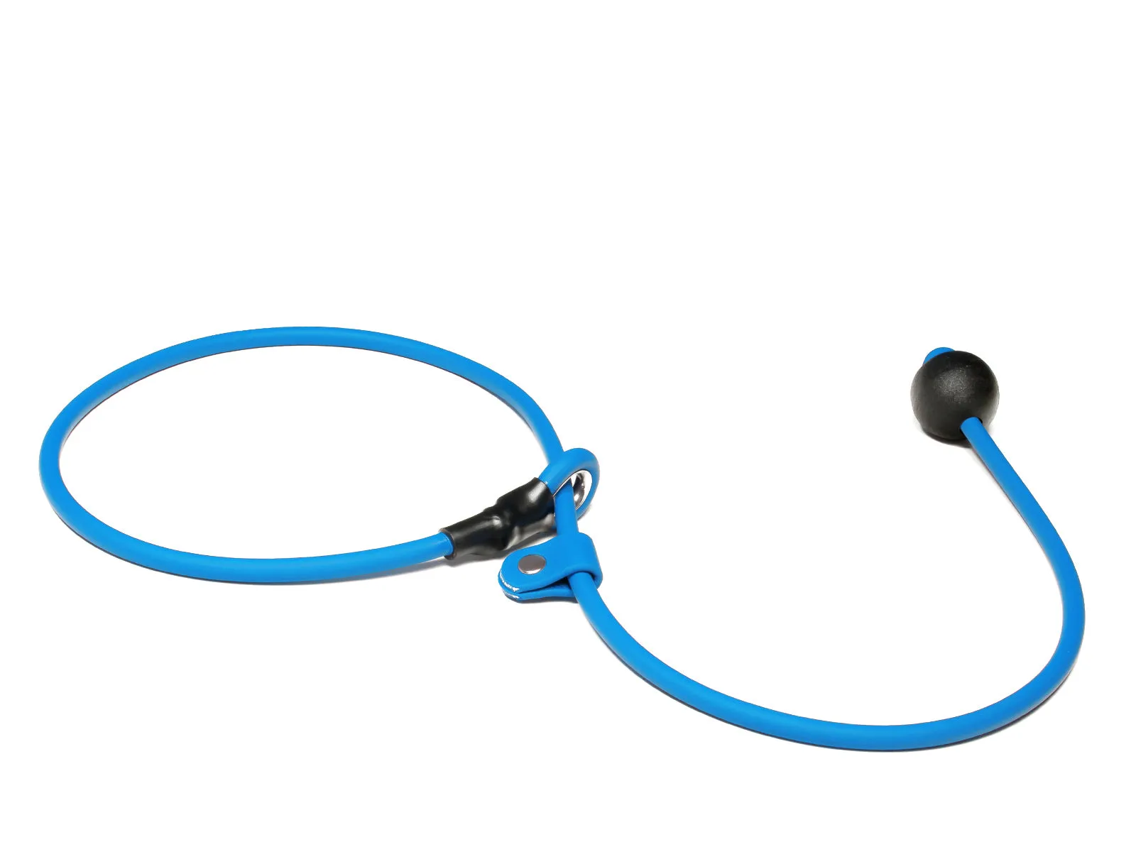 Mystique® Biothane Heeling Collar with Easy Grip Toggle