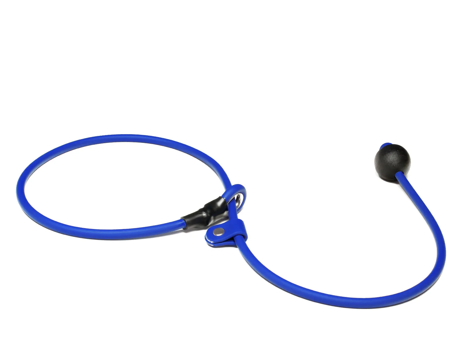Mystique® Biothane Heeling Collar with Easy Grip Toggle