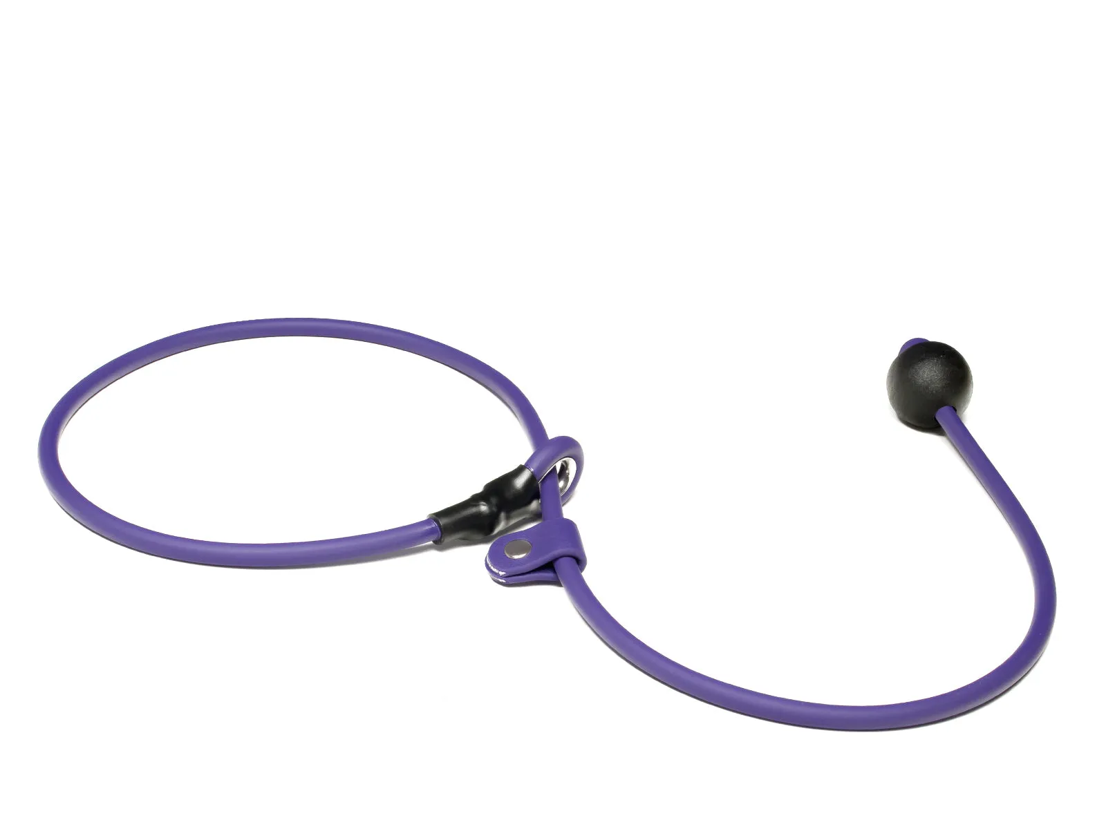 Mystique® Biothane Heeling Collar with Easy Grip Toggle
