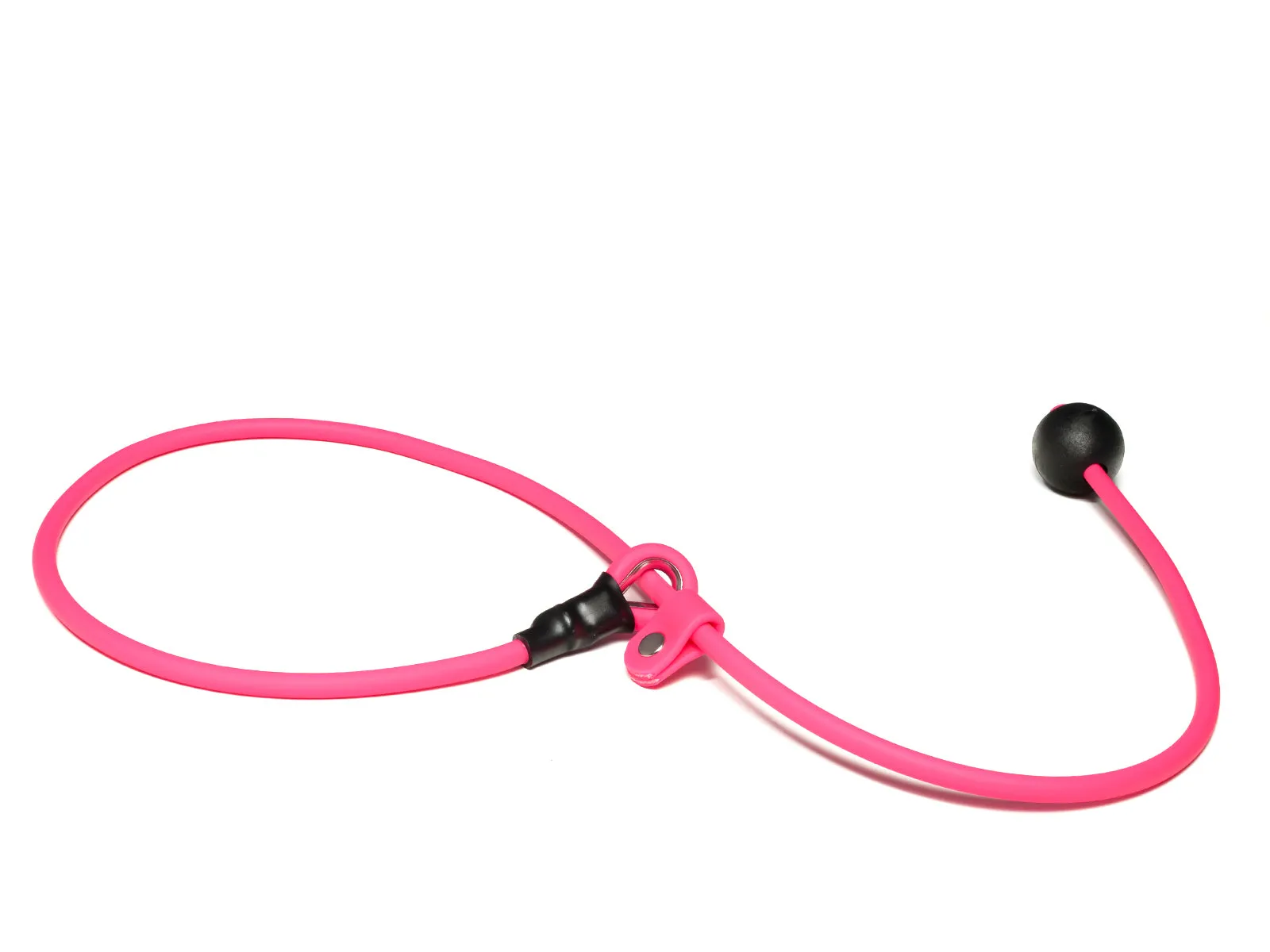Mystique® Biothane Heeling Collar with Easy Grip Toggle