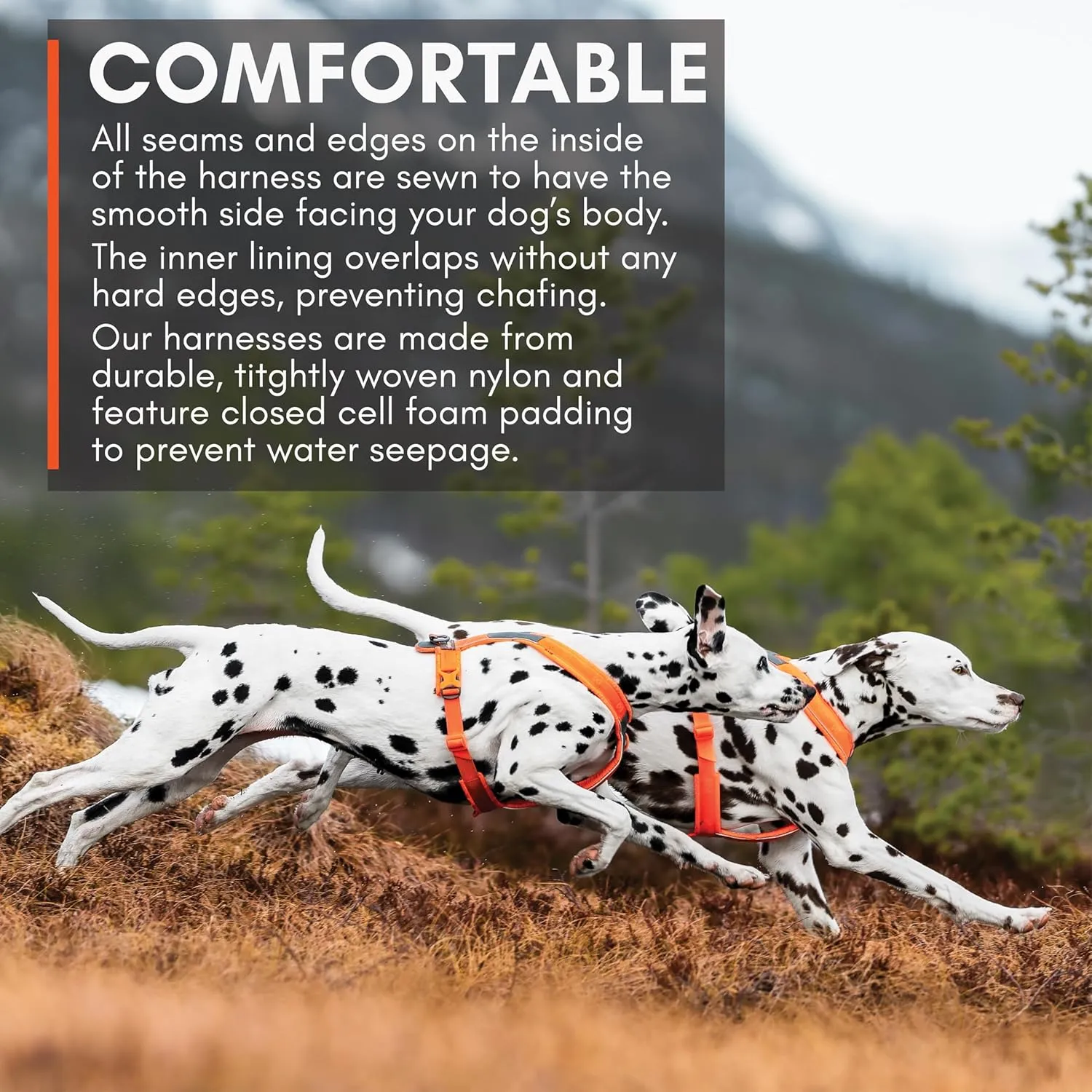 Non-stop dogwear Line Harness 5.0, Padded Dog Harness for Small Dogs, Made for Hiking, Sport and Everyday Active Life with 3 Leash Clips, Reflectors and Ergonomic Fit, Orange, Size 3