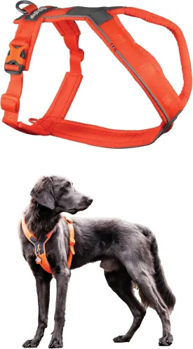 Non-stop dogwear Line Harness 5.0, Padded Dog Harness for Small Dogs, Made for Hiking, Sport and Everyday Active Life with 3 Leash Clips, Reflectors and Ergonomic Fit, Orange, Size 3