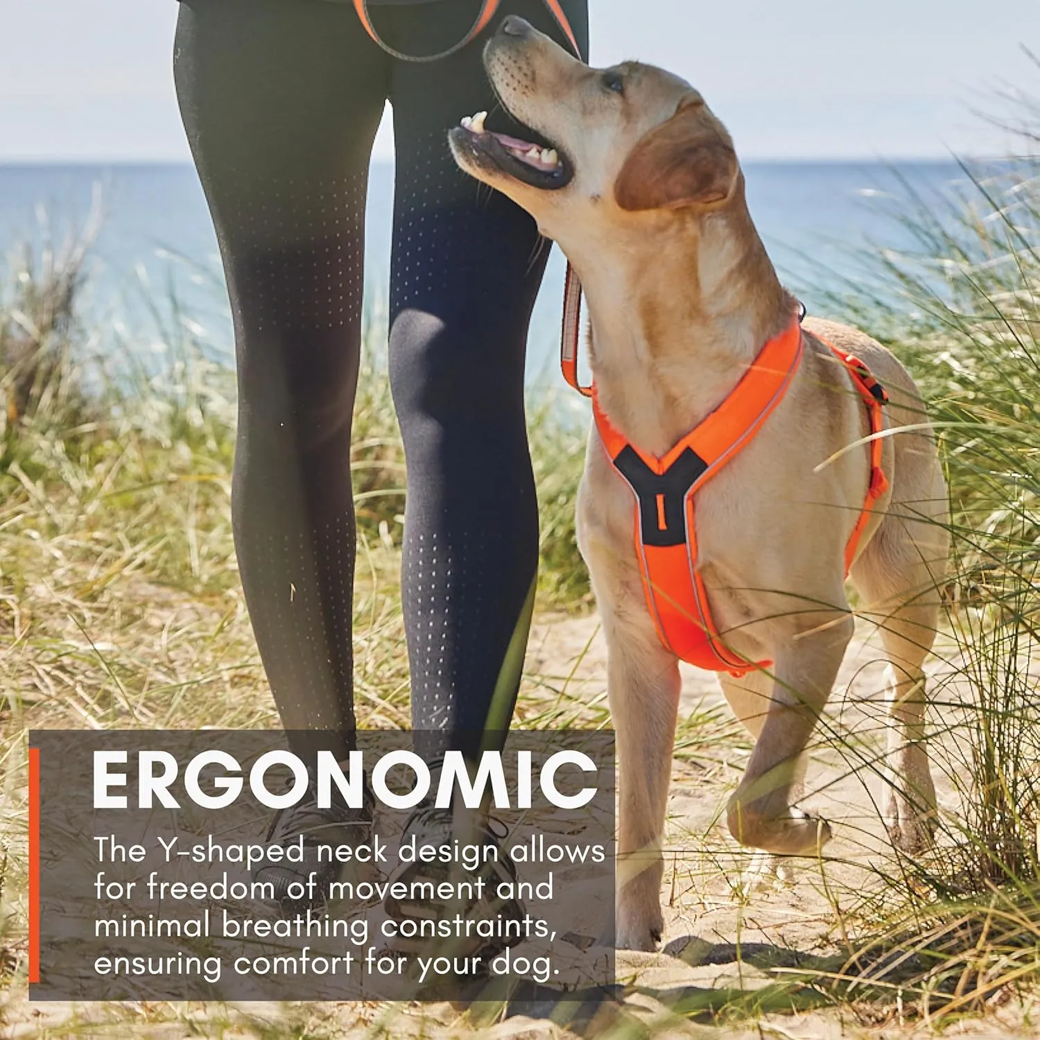 Non-stop dogwear Line Harness 5.0, Padded Dog Harness for Small Dogs, Made for Hiking, Sport and Everyday Active Life with 3 Leash Clips, Reflectors and Ergonomic Fit, Orange, Size 3