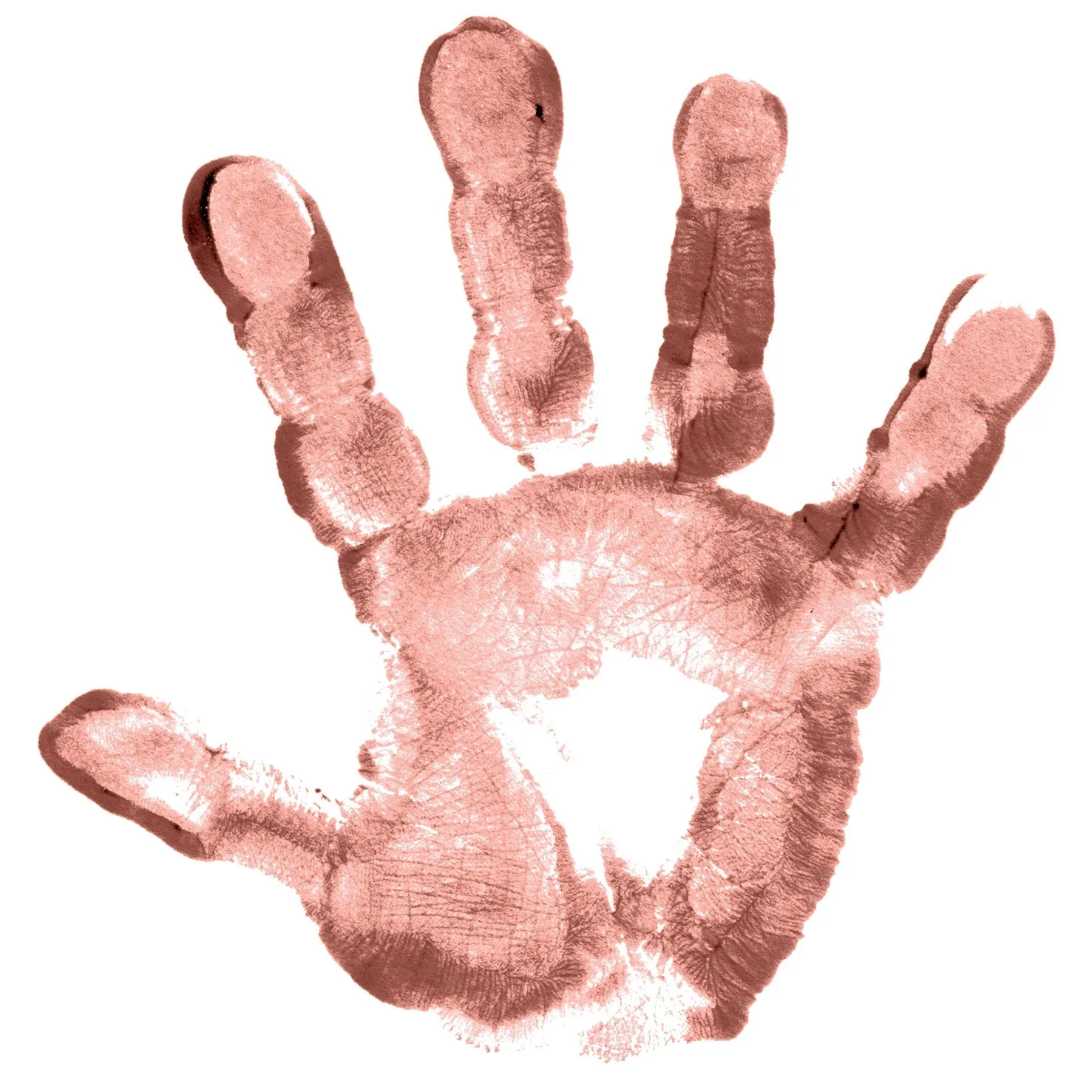 People Paint 500ml Flesh Tone Mahogany