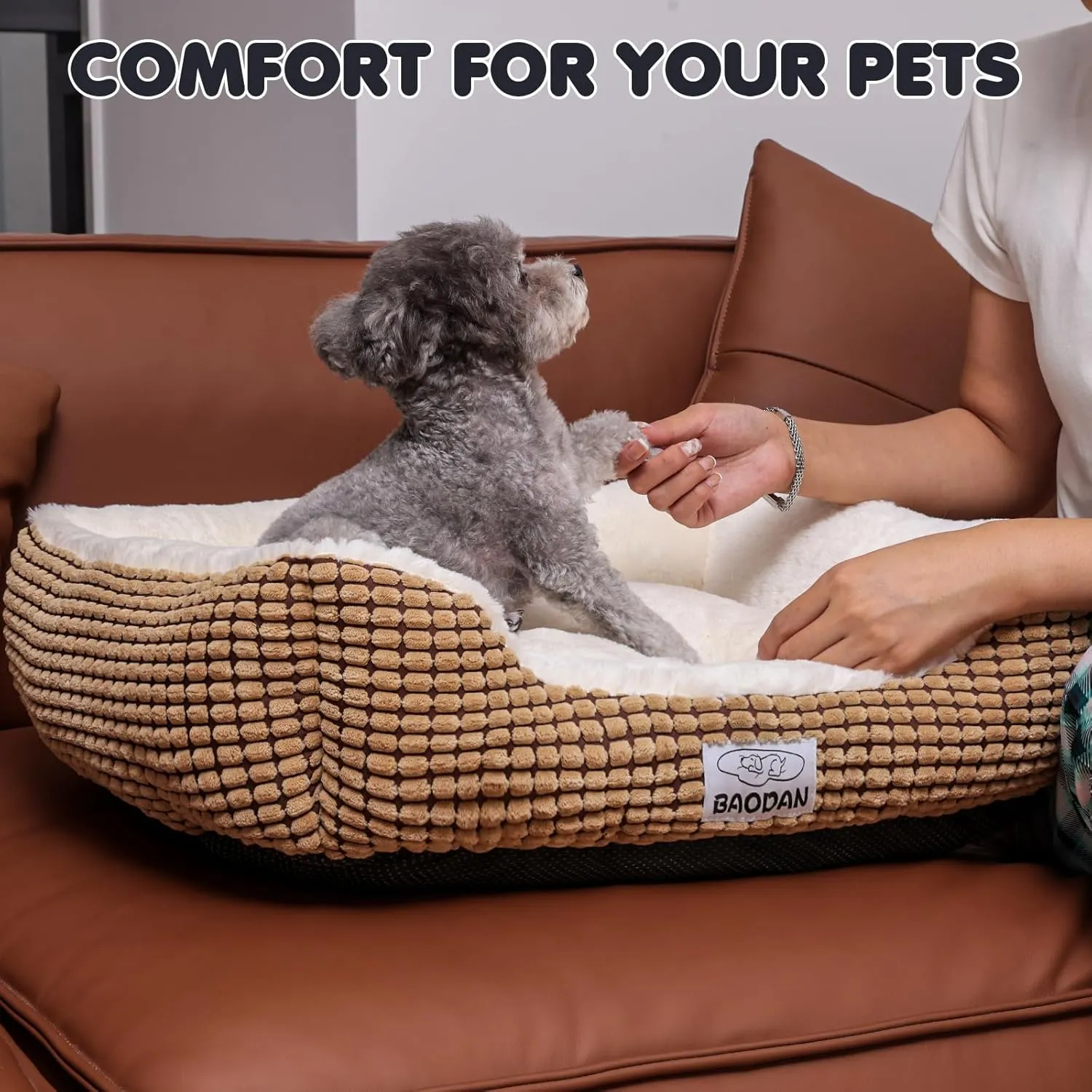 Small Dog Bed for Small Dogs, Cat Beds for Indoor Cats Washable, Rectangle Dog Bed, Warming Soft Calming Sleeping Puppy Bed Durable Pet Bed with Anti-Slip Bottom (20 inch, Coffee)