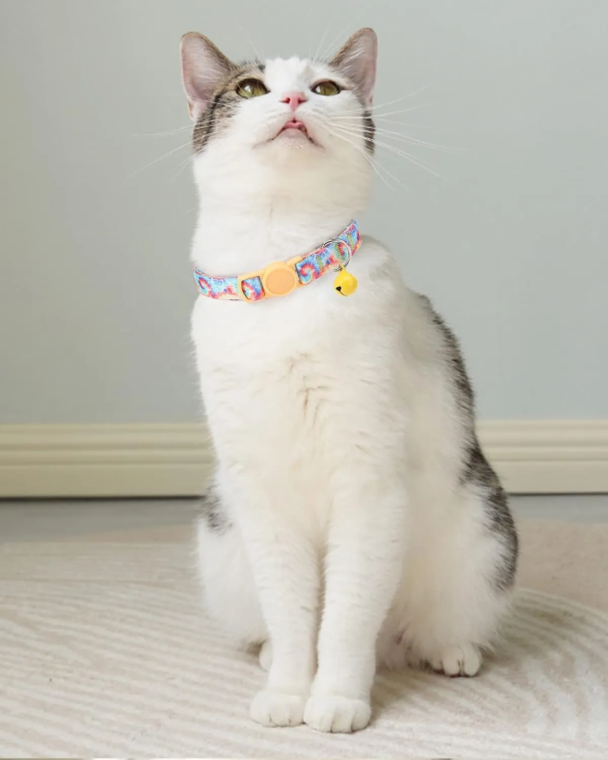 SOLMOONY Cute Cat Collar for Girl Boy,Colorful Breakaway Cat Collars with Bell 2 PackAdjustable Printed Nylon with Safety Buckles Kitten Collar (Coloured Drawing)