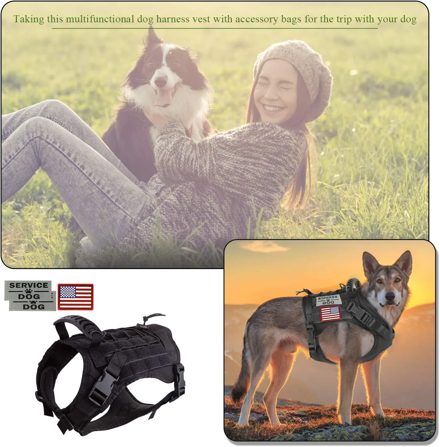 Tactical Dog Vest Training Outdoor Breathable Harness Military Pet Tactical Vest Detachable Pouches D Ring for Dog Leash