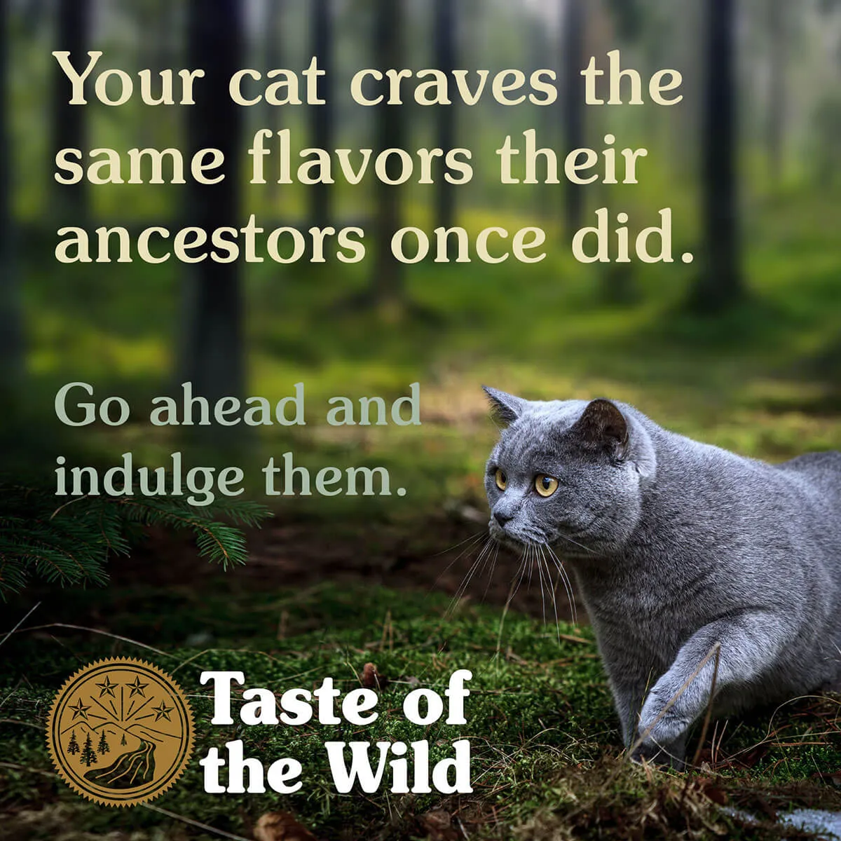 Taste of the Wild Canyon River Feline Dry Cat Food