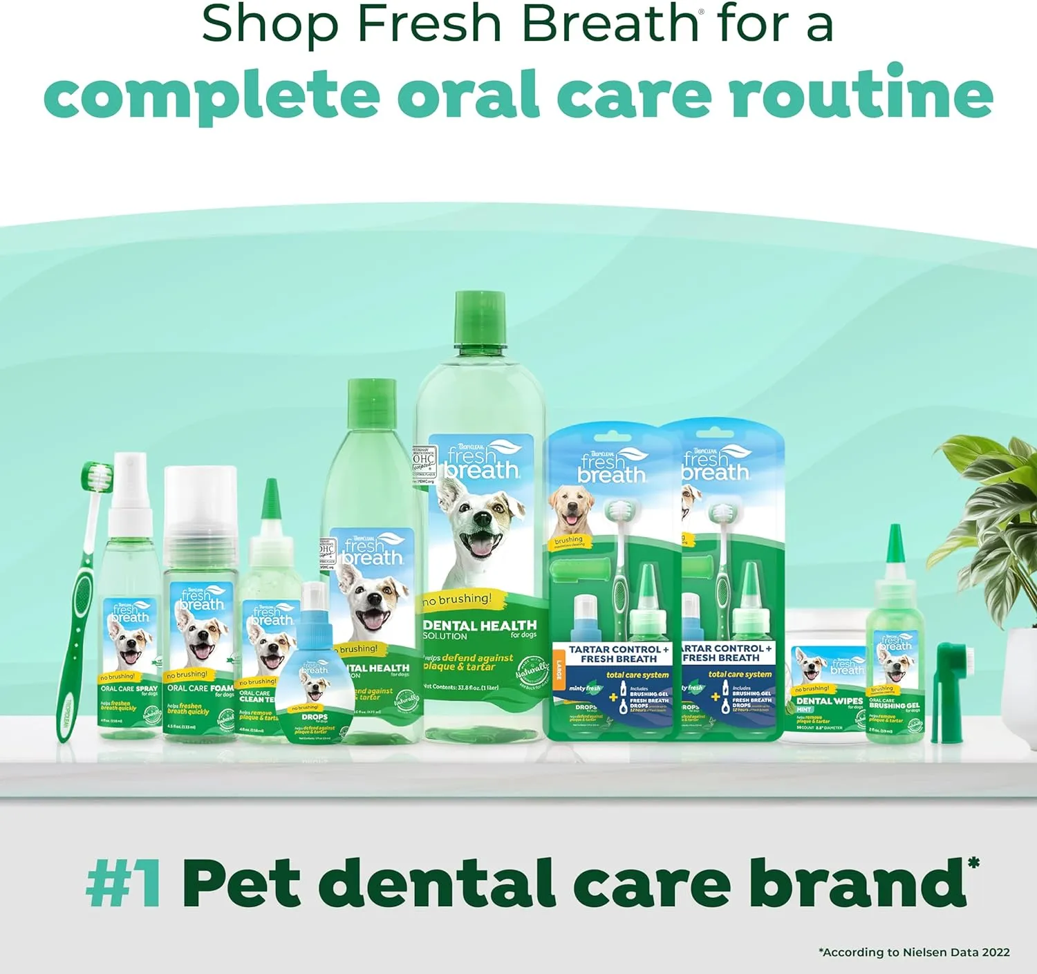 TropiClean Fresh Breath Oral Care Spray for Dogs & Cats | Dog Breath Spray | Mint Breath Freshener | Pet Bad Breath Treatment | Made in The USA | 4 oz